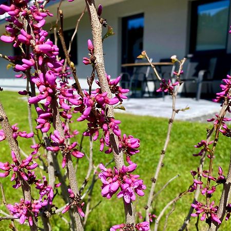 Apartment Bergfieber Fieberbrunn Dış mekan fotoğraf