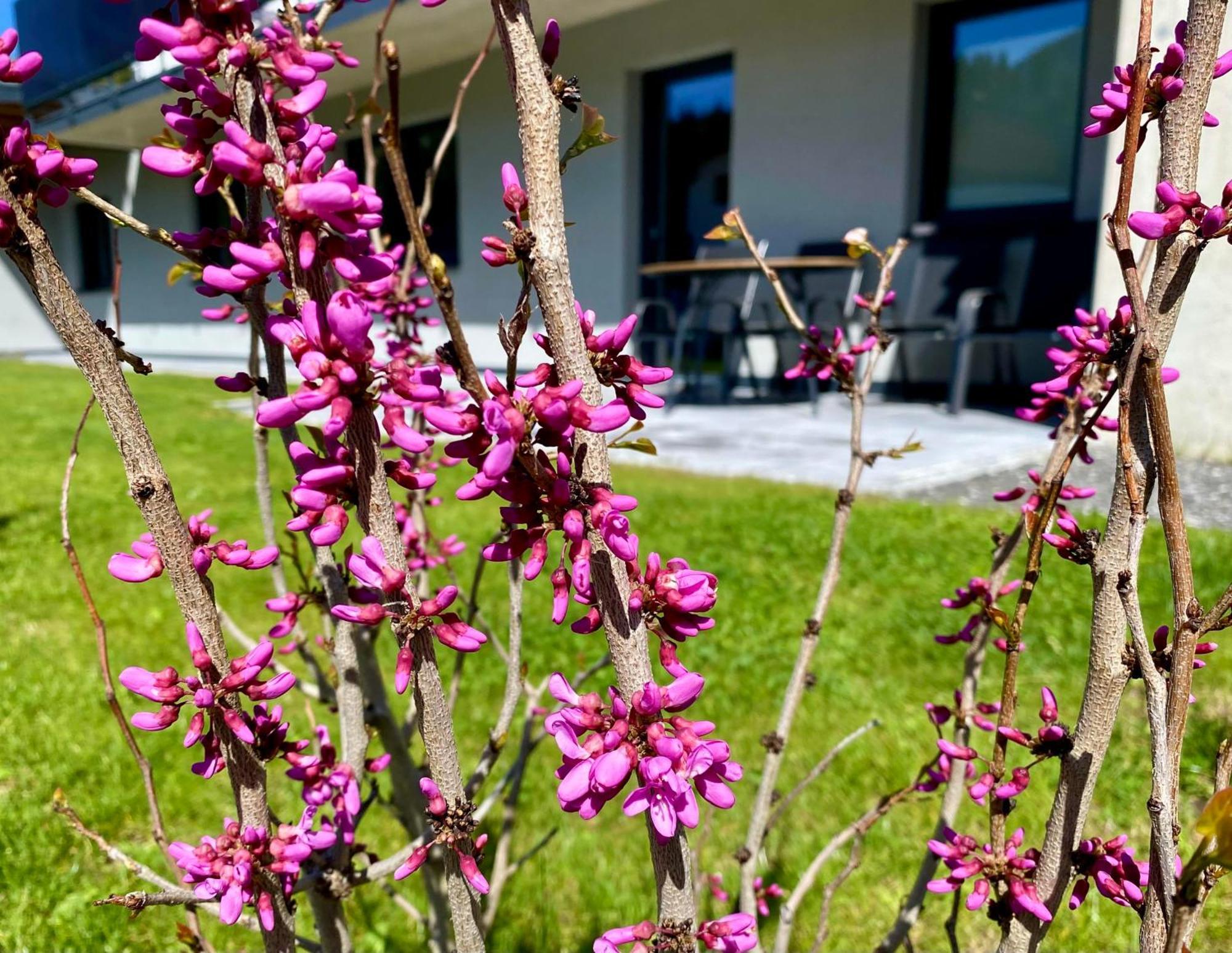 Apartment Bergfieber Fieberbrunn Dış mekan fotoğraf